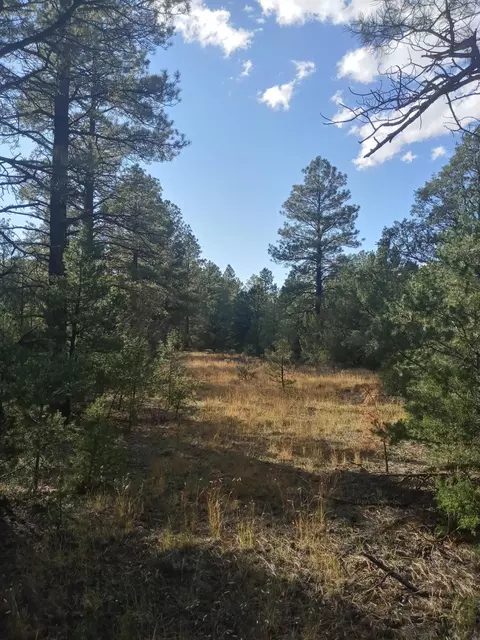 lot15 Yucca Dr, Ramah, NM 87321