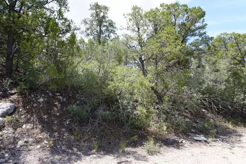 263 Five Hills Dr, Tijeras, NM 87059