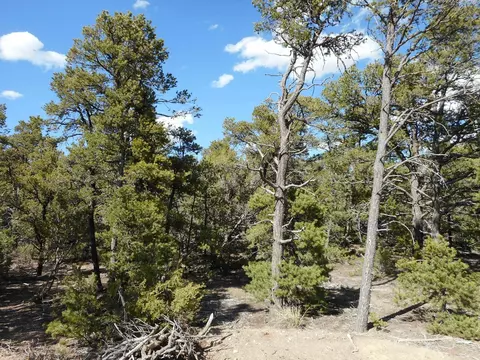 21 Cresta Vista Ct, Tijeras, NM 87059