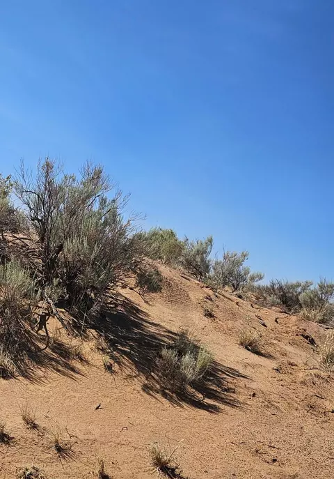 tbd Dalies, Los Lunas, NM 87031