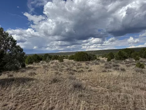 Flora Lane, Ramah, NM 87321 photo 4