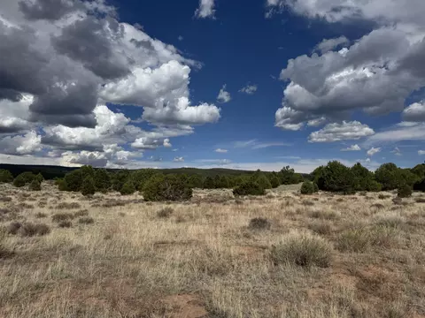 Flora Lane, Ramah, NM 87321 photo 2