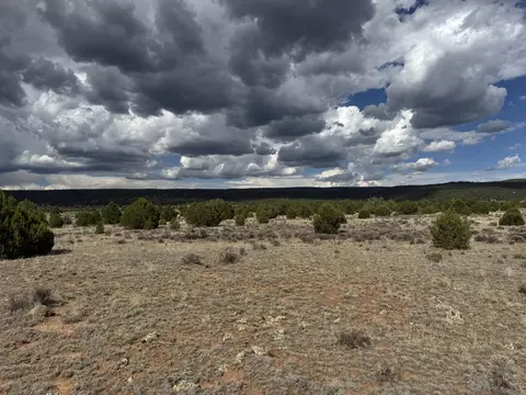 Flora Lane, Ramah, NM 87321 photo 5