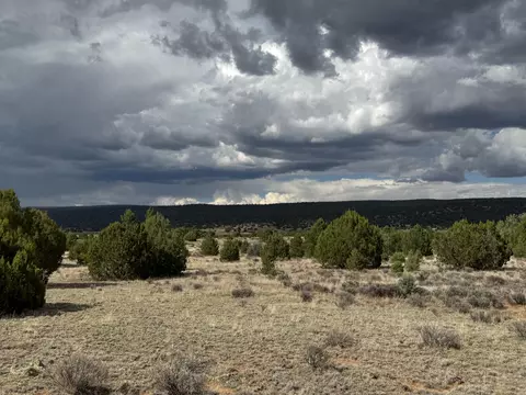 Flora Lane, Ramah, NM 87321 photo 6