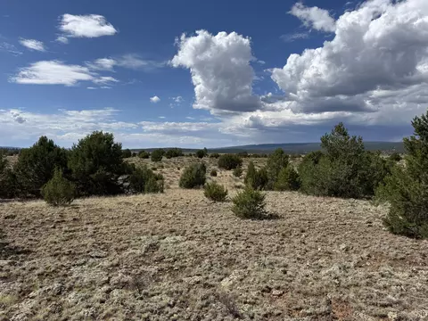 Flora Lane, Ramah, NM 87321 photo 3
