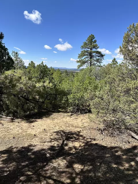 99 Private Drive 1781a, Chama, NM 87520