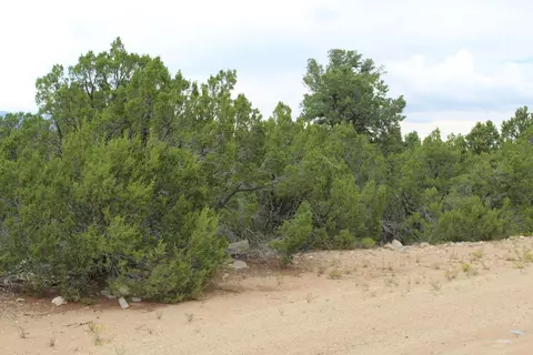 250 Five Hills Dr, Tijeras, NM 87059