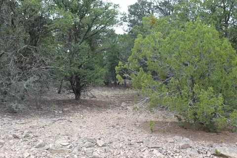 5 Manzano Loop, Tijeras, NM 87059