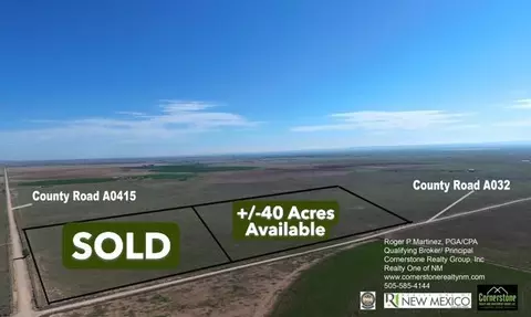 Langley Langley Tract 2 40acre, Estancia, NM 87016