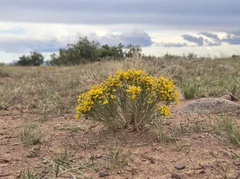 Vl Willow Springs Ranch Lot 2-9, San Antonio, NM 87832