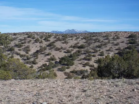 Camino Halcon, Placitas, NM 87043