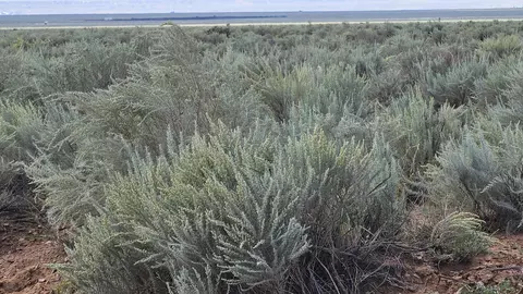 VL Rge Lot 17 Block 377 #17, Belen, NM 87002