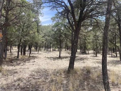 lot30 Hop Canyon Rd, Magdalena, NM 87825