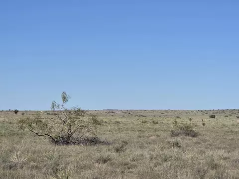 RRG Lot: 106 #6, Magdalena, NM 87825