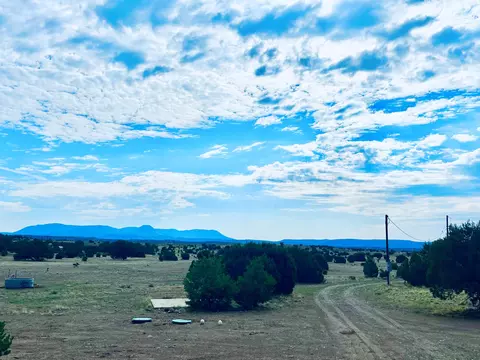 17 Jackass Ln, Datil, NM 87821 photo 29