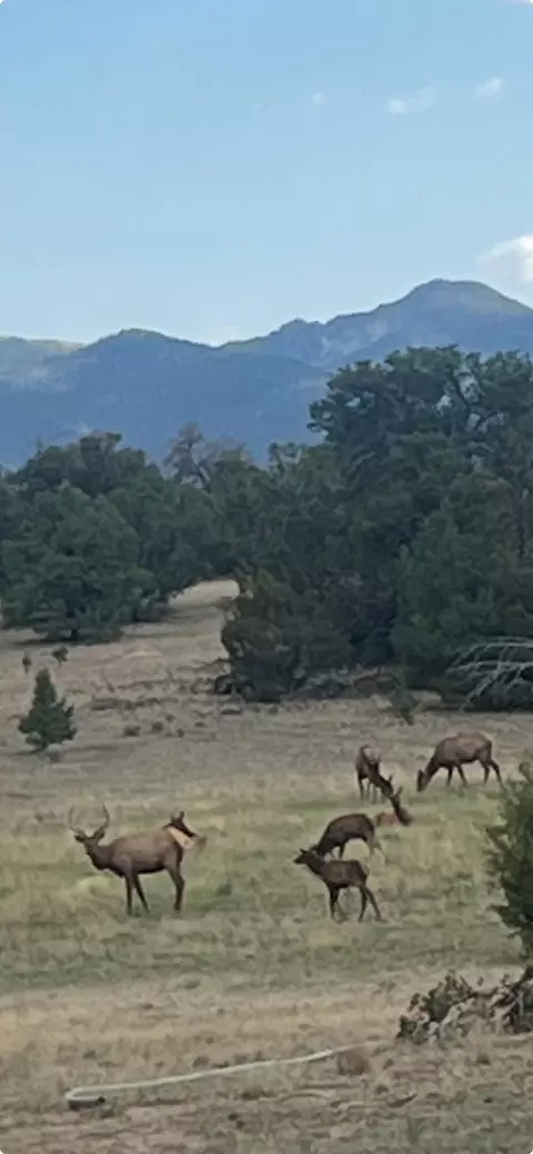 17 Jackass Ln, Datil, NM 87821 photo 21