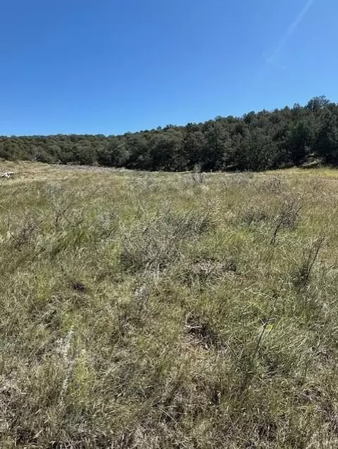 0 Edgewood Rd, Edgewood, NM 87015