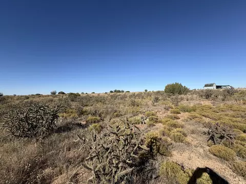 lot10 Quail, Fort Sumner, NM 88119