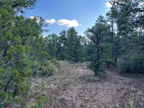 lot R Mccomb Pass, Edgewood, NM 87015