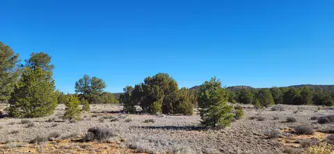 tbd Arrowhead Rd, Ramah, NM 87321 photo 6
