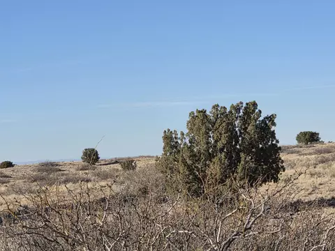 VL Rancho Rio Grande Lot 271 #5, Magdalena, NM 87825