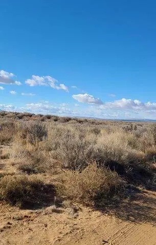 Dalies Road, Los Lunas, NM 87031