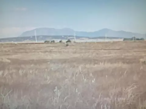 Antelope Springs, Estancia, NM 87016