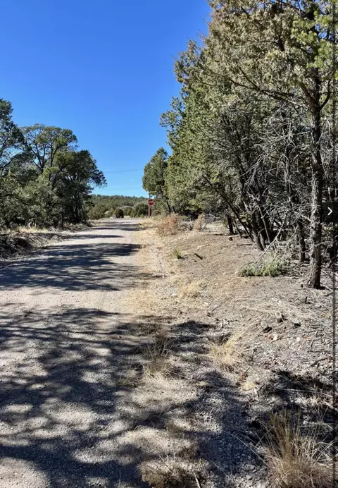 5 Drum Rd, Edgewood, NM 87015