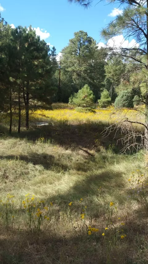 56 Carolino Canyon Rd, Tijeras, NM 87059