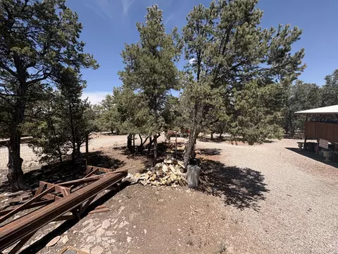 Exterior - 33 Carp Rd, Thoreau, NM 87323 photo 17 of 17
