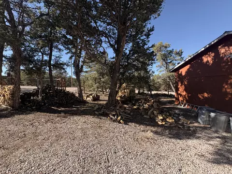 Exterior - 33 Carp Rd, Thoreau, NM 87323 photo 8 of 17