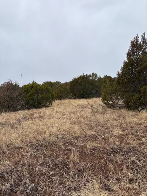 90 Jesse James Rd, Edgewood, NM 87015
