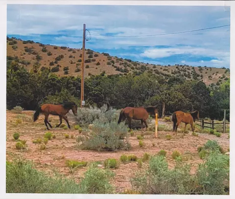 Deba Jo De Ojo, Placitas, NM 87043
