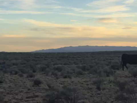 VL Rge Lot: 25 Block: 720 #B, Belen, NM 87002