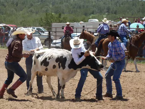 Other - 12 Elk Rd, Corona, NM 88318 photo 32 of 32