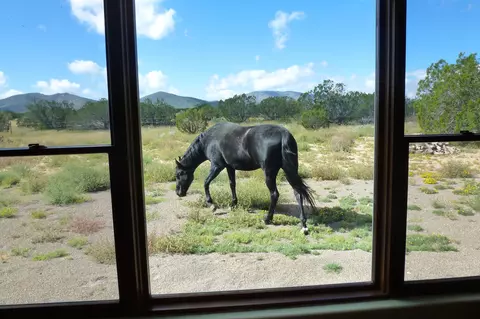 Other - 12 Elk Rd, Corona, NM 88318 photo 16 of 32