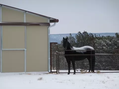 Other - 12 Elk Rd, Corona, NM 88318 photo 15 of 32