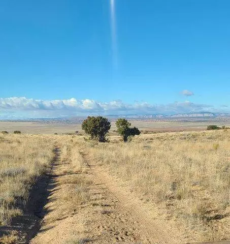 Tren Lot 2 Road, Los Lunas, NM 87031