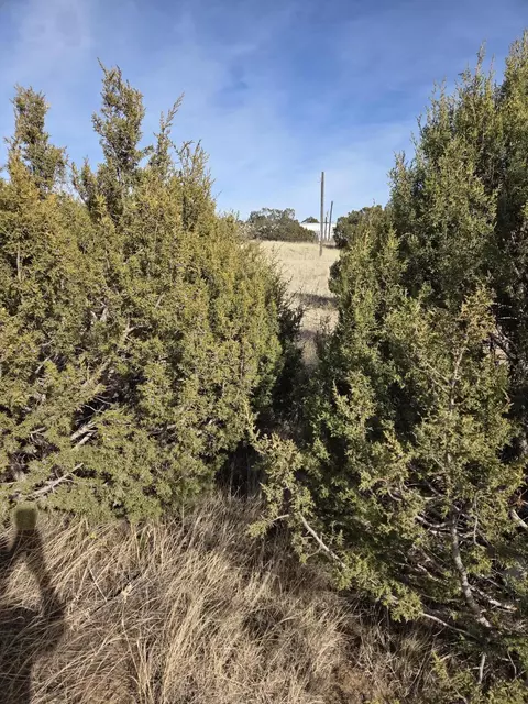 10 Glacier Trl, Edgewood, NM 87015