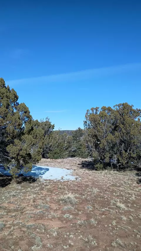 Deer Run Trail, Pie Town, NM 87827