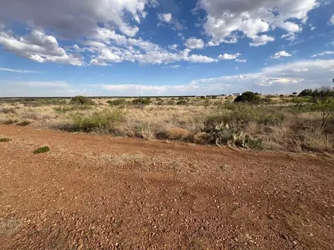 lot66 Pheasant Ln, Fort Sumner, NM 88119