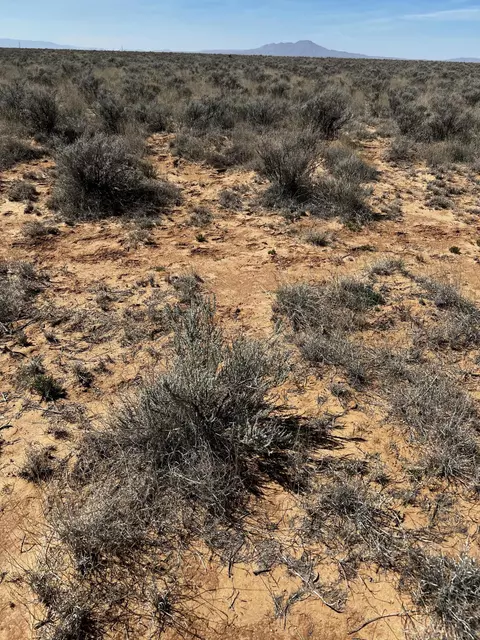 lot12 W W Mora Dr, Belen, NM 87002