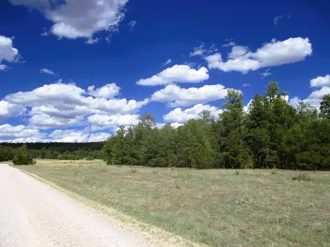 lot5 Copperweed Rd, Ramah, NM 87321