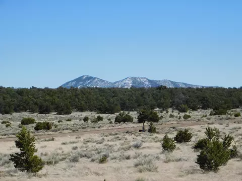 lot81 Artesian Ave, Quemado, NM 87829