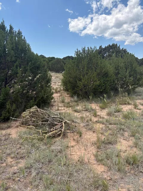 Wilson Ranch Lot #8, Tajique, NM 87016