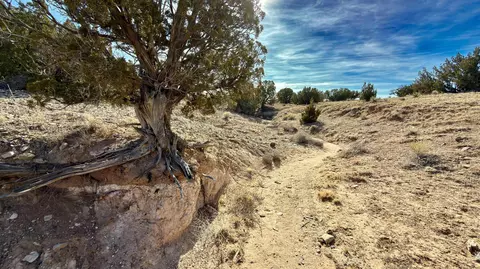 5 Cedar Vista Ct, Algodones, NM 87001