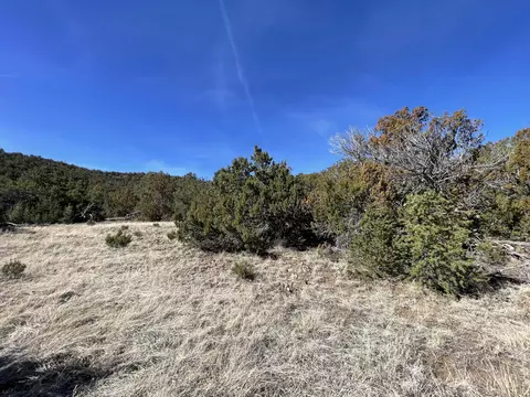41 Canon Escondido Pl, Sandia Park, NM 87047