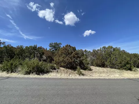 29 Canon Escondido, Sandia Park, NM 87047