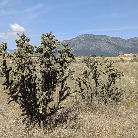 0 N Weimer North Rd, Stanley, NM 87056