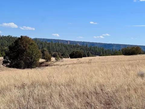 lot9 Juniper Dr, Ramah, NM 87321